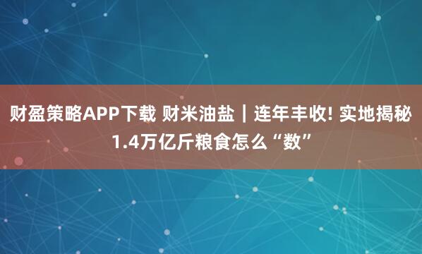 财盈策略APP下载 财米油盐｜连年丰收! 实地揭秘1.4万亿斤粮食怎么“数”