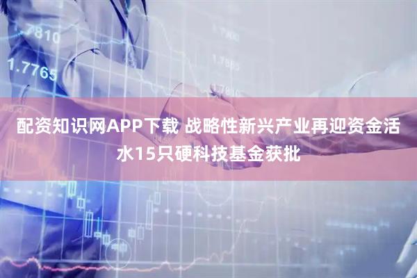 配资知识网APP下载 战略性新兴产业再迎资金活水15只硬科技基金获批